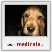 rostro pipi